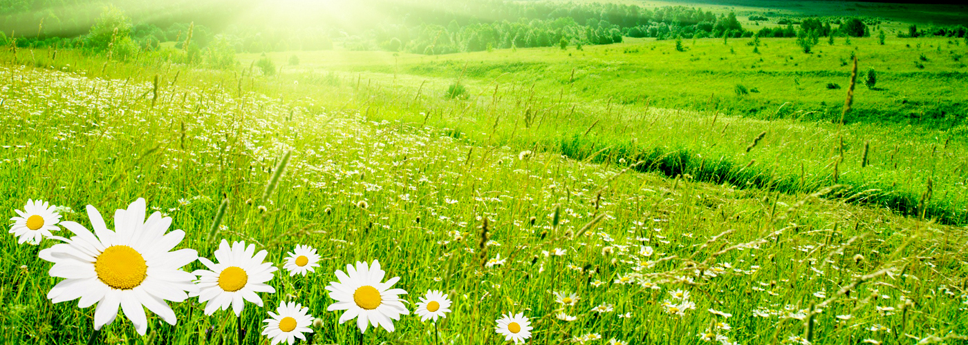 길이 없으면 길을 만들며 간다. 거기서부터가 희망이다.